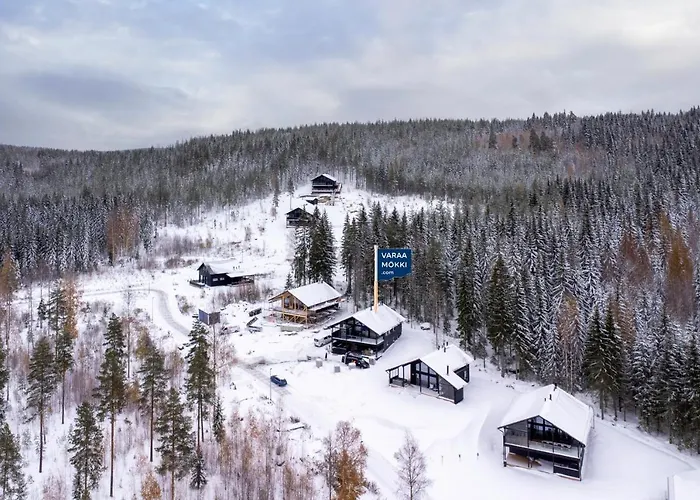 别墅 Luksushuvila Lempi *