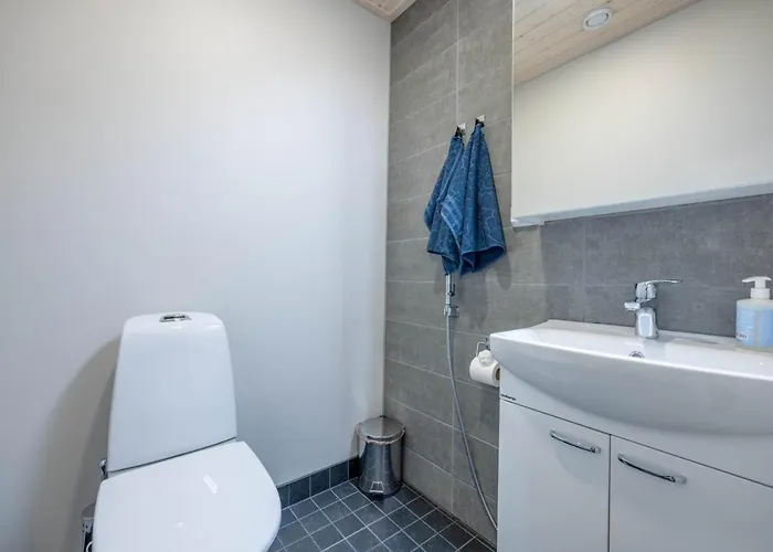 Luksushuvila Lempi Himos